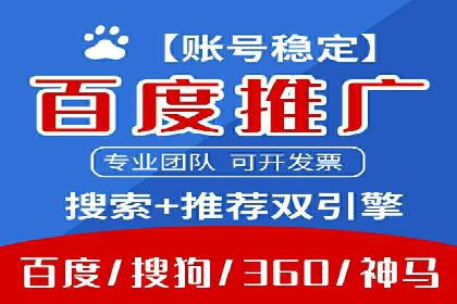 竞价广告策略案例分析